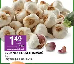 Stokrotka Express Czosnek Harnaś oferta