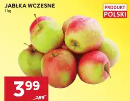 Stokrotka Jabłka Polski oferta