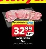 Delfin Królik tuszka oferta