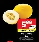 Delfin Melon żółty oferta
