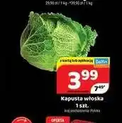 Delfin Kapusta włoska oferta