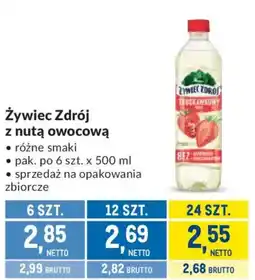 Makro Żywiec Zdrój z nutą owocową oferta