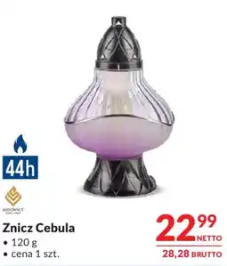 Makro Znicz Cebula oferta