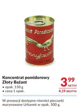 Makro Koncentrat pomidorowy Złoty Baźant oferta