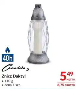 Makro Znicz Daktyl Candela oferta