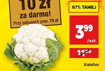 API MARKET Kalafior oferta