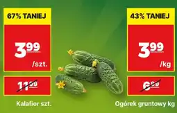 API MARKET Ogórek gruntowy oferta