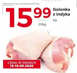 Frac Golonka z indyka oferta
