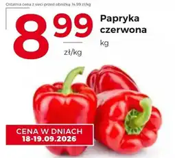 Frac Papryka czerwona oferta