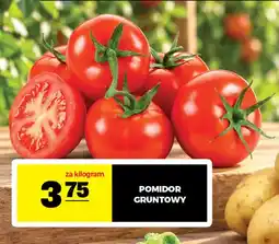 Gram Market Pomidory gruntowe oferta