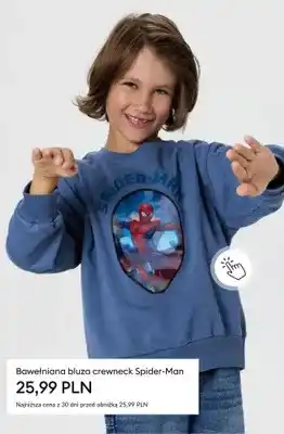 Bawełniana bluza crewneck Spider-Man