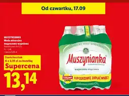 Lidl Woda mineralna magnezowo-wapniowa Muszynianka 6-pak oferta