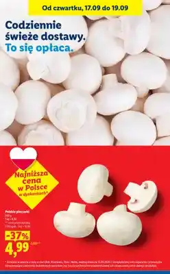 Lidl Pieczarki polskie oferta