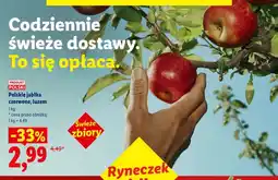 Lidl Jabłka czerwone polskie luzem oferta
