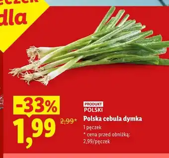 Lidl Cebula dymka polska oferta