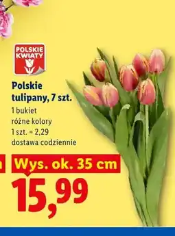 Lidl Tulipany Polskie Kwiaty 7-pak wys. ok. 35 cm oferta