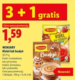 Lidl Kisiel truskawkowy Winiary oferta