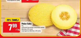 Melon Galia