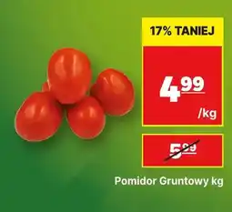 API MARKET Pomidory gruntowe oferta