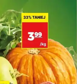 API MARKET Dynia oferta