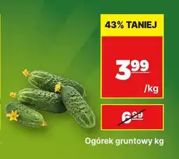 API MARKET Ogórki gruntowe oferta