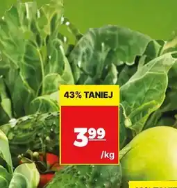 API MARKET Ogórki gruntowe oferta