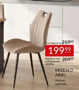 Abra Krzesło ariel oferta