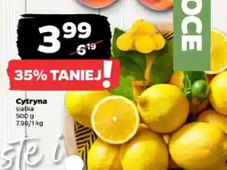 Netto Cytryna siatka oferta