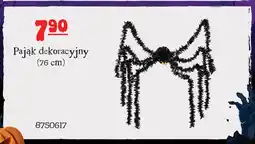 MR. DIY Pająk dekoracyjny 76 cm oferta