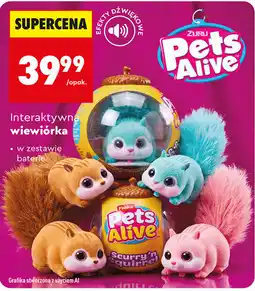 Biedronka Interaktywna wiewiórka Pets Alive oferta