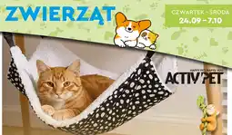 Biedronka Hamak dla kota Activ'Pet oferta