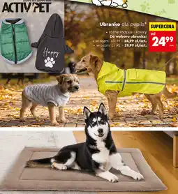 Biedronka Activ'Pet Ubranko dla pupila oferta