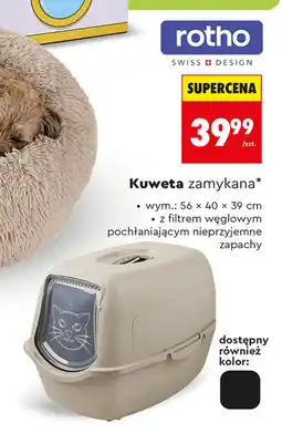 Biedronka Kuweta oferta