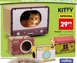 Biedronka Drapak z kocimiętką Kitty oferta