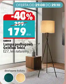 Biedronka Lampa podłogowa Goldlux Tekla Sanico oferta