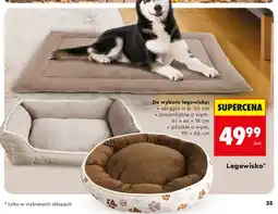 Biedronka Legowisko okrągłe o śr. 50 cm oferta