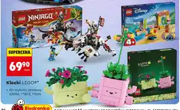 Biedronka Klocki LEGO 43280 oferta