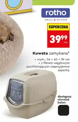 Biedronka Kuweta zamykana Rotho oferta