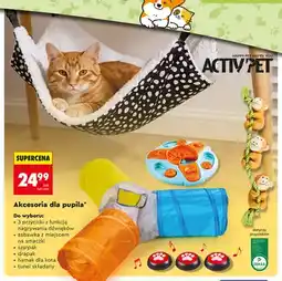 Biedronka 3 przyciski z funkcją nagrywania dźwięków Activ'Pet oferta