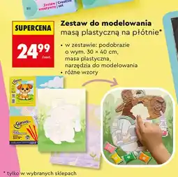 Biedronka Zestaw do modelowania masą plastyczną na płótnie Sensorio oferta
