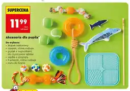 Biedronka Drapak tekturowy oferta