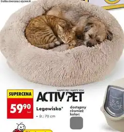 Biedronka Legowisko oferta