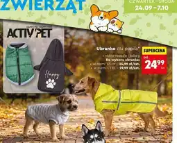 Biedronka Ubranko dla pupila oferta