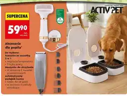 Biedronka Akcesoria dla pupila oferta