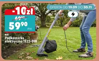 Biedronka Podkaszarka elektryczna TE25-DW oferta