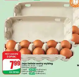 Dino Jaja świeże wolny wybieg oferta