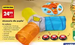 Biedronka Akcesoria dla pupila oferta