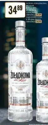 Dino Wódka Żołądkowa de Luxe oferta