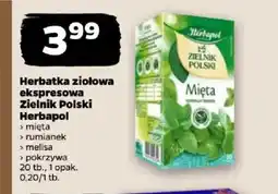 Netto Herbatka ziołowa ekspresowa Mięta oferta