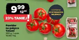 Netto Pomidor na gałązce Tatami oferta